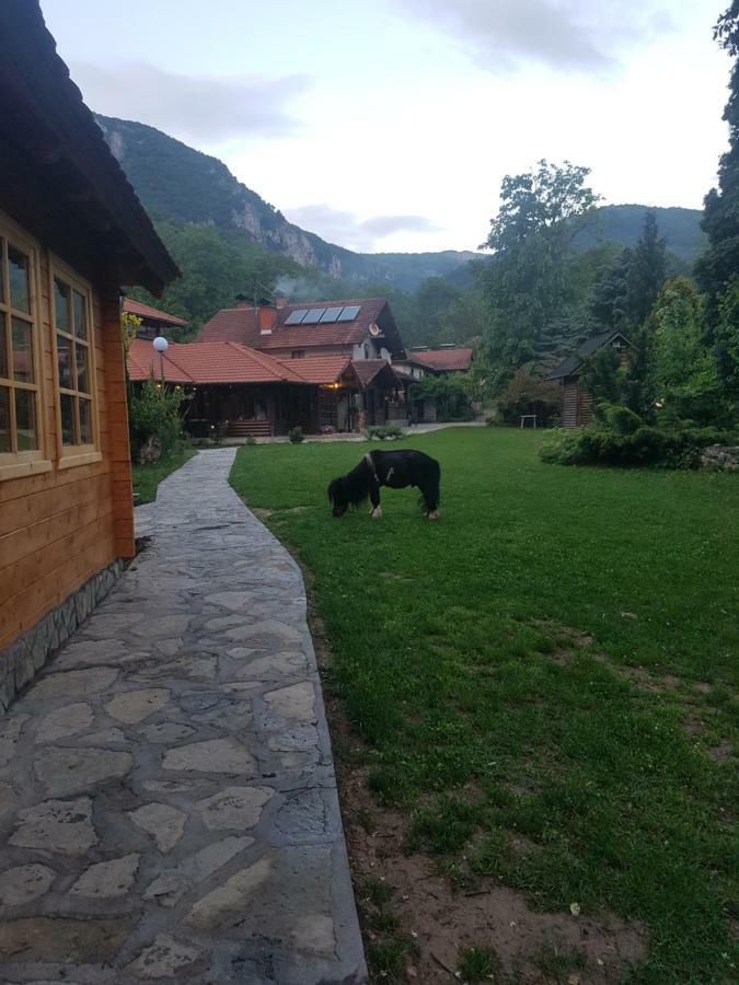 Bed and Breakfast Vodopad Lisine Strmosten Exterior foto