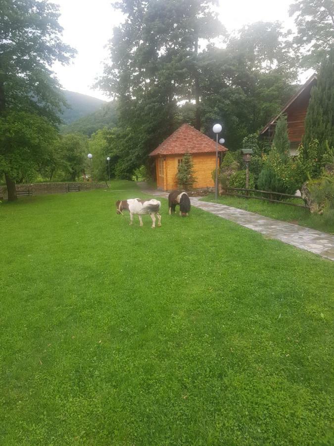Bed and Breakfast Vodopad Lisine Strmosten Exterior foto